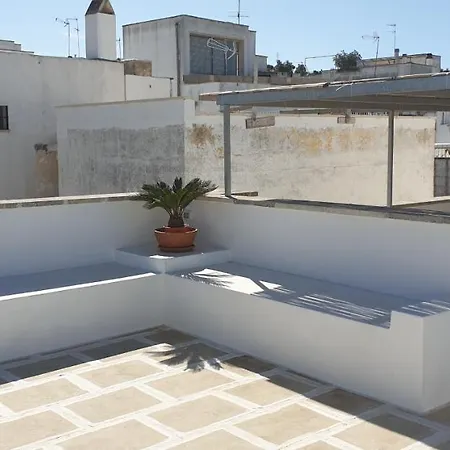 La Casa Dei Bombi - Miele Matino