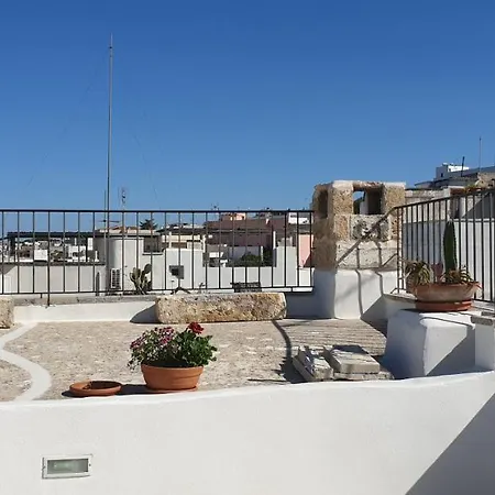 La Casa Dei Bombi - Miele Matino